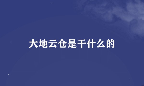 大地云仓是干什么的