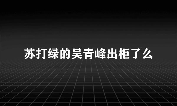 苏打绿的吴青峰出柜了么