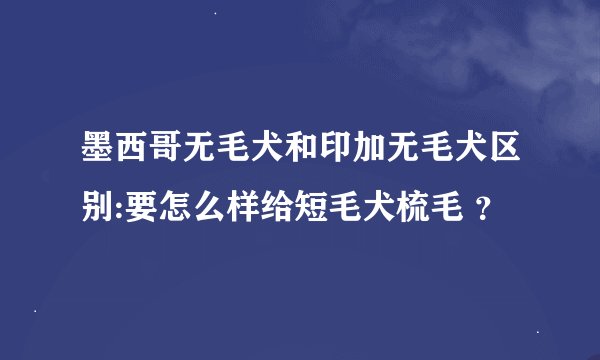 墨西哥无毛犬和印加无毛犬区别:要怎么样给短毛犬梳毛 ？