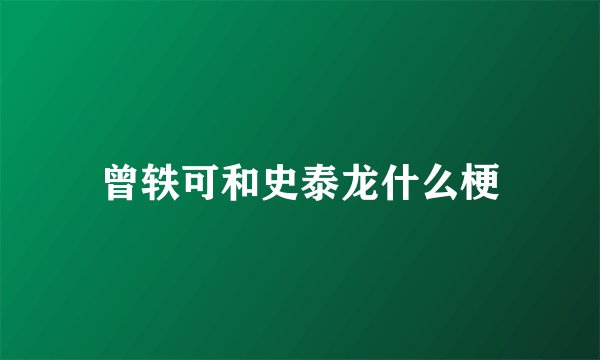 曾轶可和史泰龙什么梗