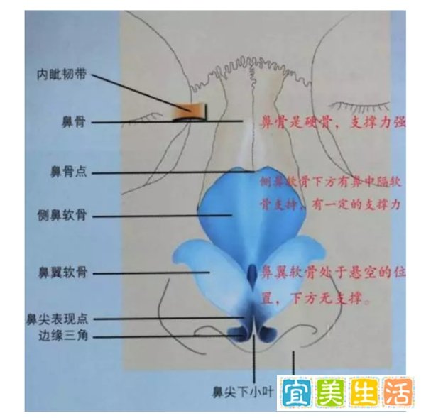 日本整容 | 那些山根低的女孩该怎么办呢?