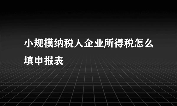 小规模纳税人企业所得税怎么填申报表