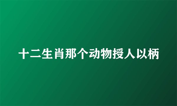 十二生肖那个动物授人以柄