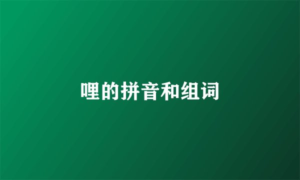 哩的拼音和组词