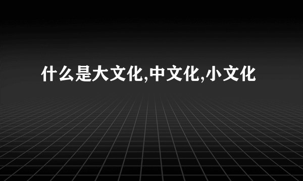 什么是大文化,中文化,小文化