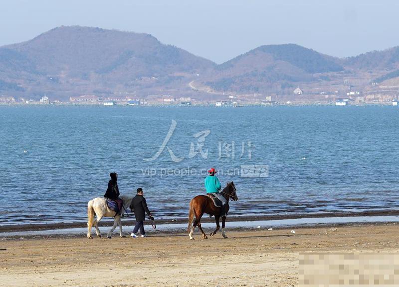 山东省内有骑马场吗