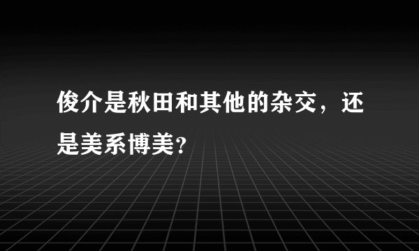 俊介是秋田和其他的杂交，还是美系博美？