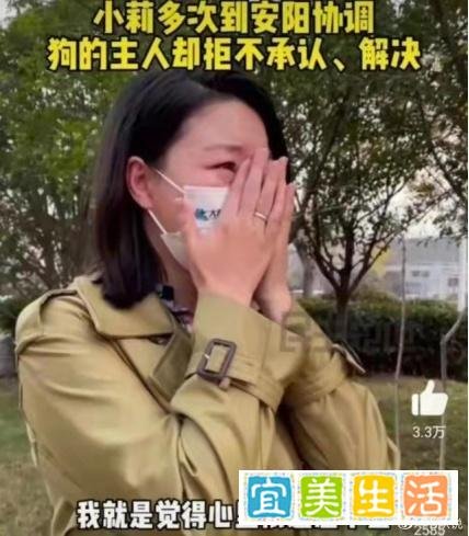 狗咬人事件涉事人王新刚被撤职，难道真得靠舆论才能执法吗？