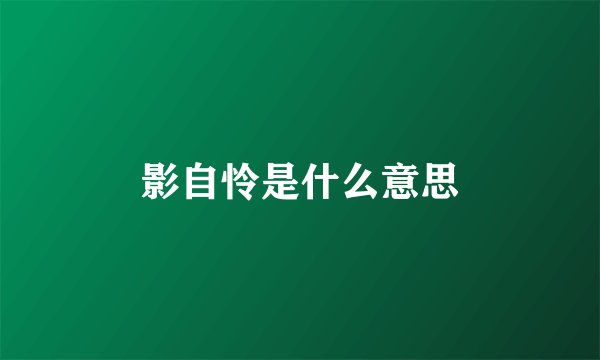 影自怜是什么意思
