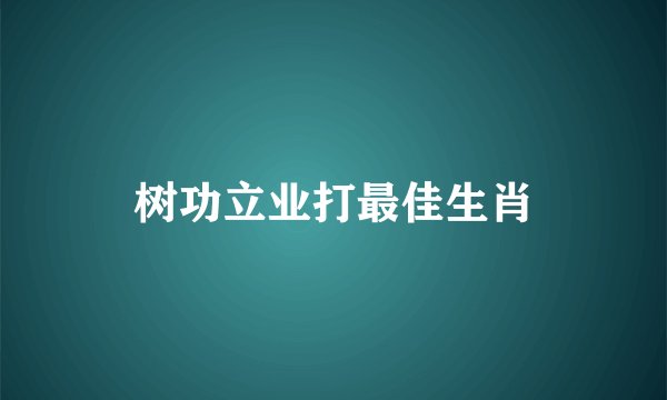 树功立业打最佳生肖