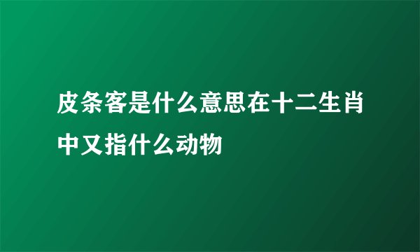 皮条客是什么意思在十二生肖中又指什么动物