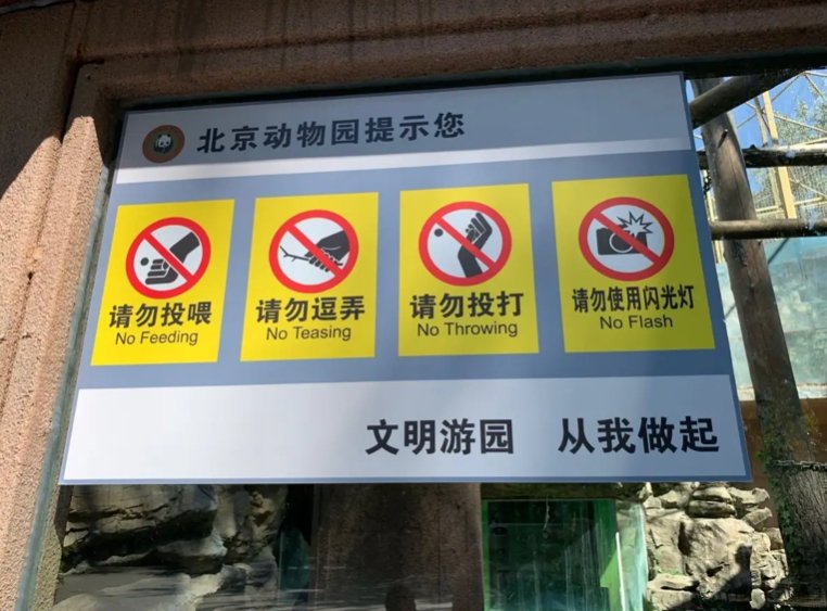 专家称南宁动物园“不正经动物”属于应激反应，我们怎样才能不伤害他们？