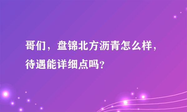 哥们，盘锦北方沥青怎么样，待遇能详细点吗？