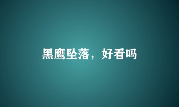 黑鹰坠落，好看吗