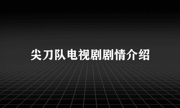 尖刀队电视剧剧情介绍