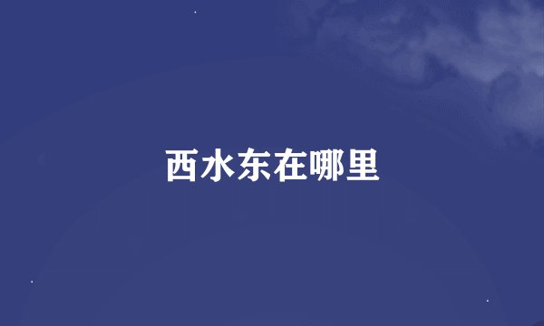 西水东在哪里