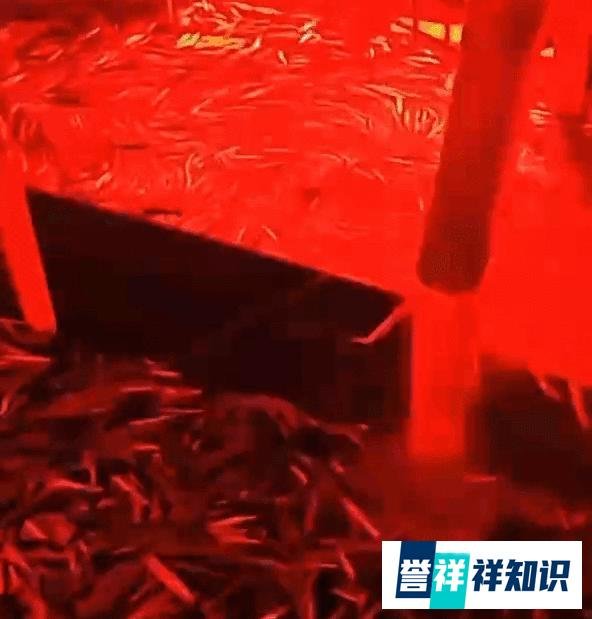浙江舟山出现红色天空异象,原因找到了!竟跟秋刀鱼有关
