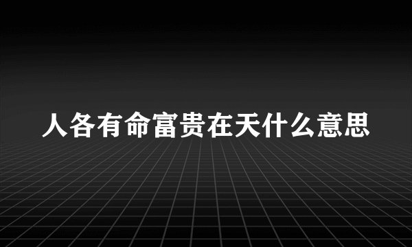 人各有命富贵在天什么意思