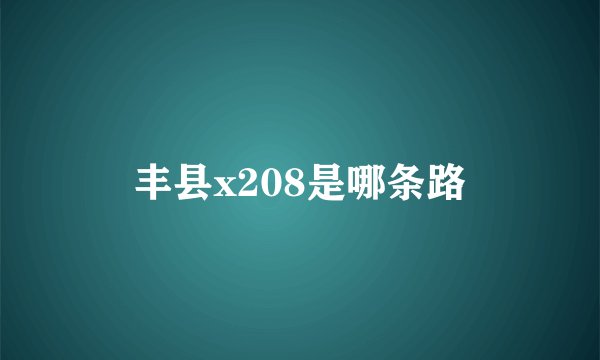 丰县x208是哪条路