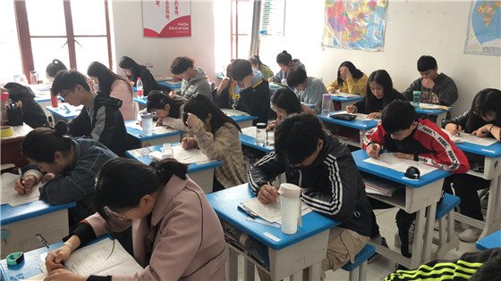 艺考文化课培训有用吗