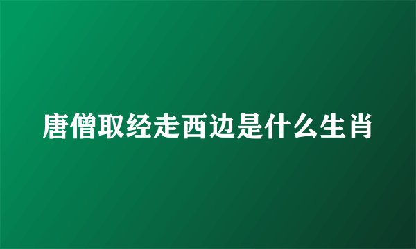 唐僧取经走西边是什么生肖