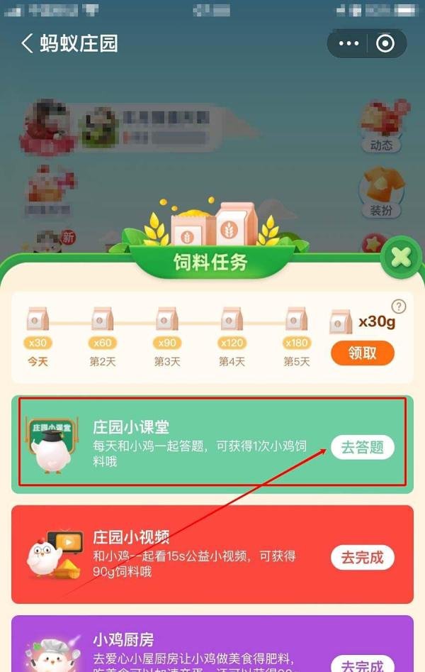 欧洲杯冠军队可以获得哪项荣誉？蚂蚁庄园小课堂