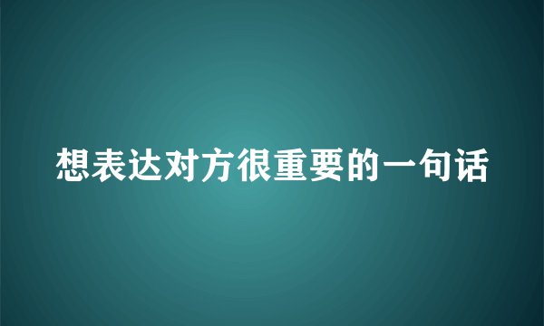 想表达对方很重要的一句话