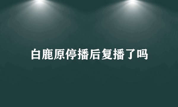 白鹿原停播后复播了吗