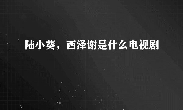 陆小葵，西泽谢是什么电视剧