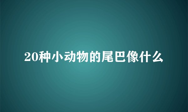20种小动物的尾巴像什么