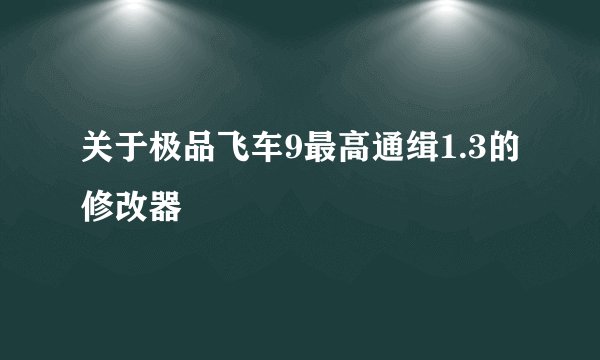 关于极品飞车9最高通缉1.3的修改器