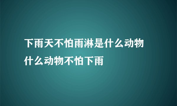 下雨天不怕雨淋是什么动物 什么动物不怕下雨