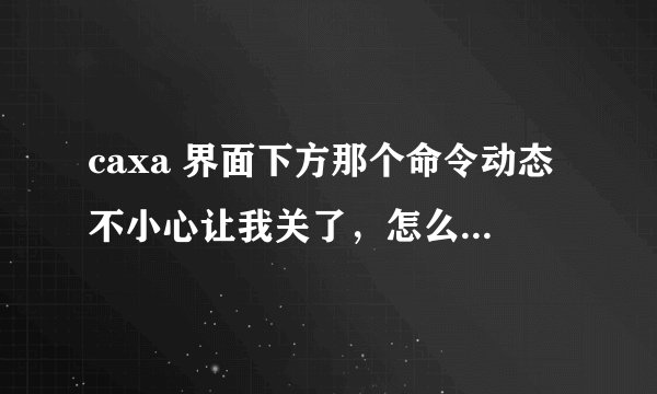 caxa 界面下方那个命令动态不小心让我关了，怎么调出来啊！在线等！