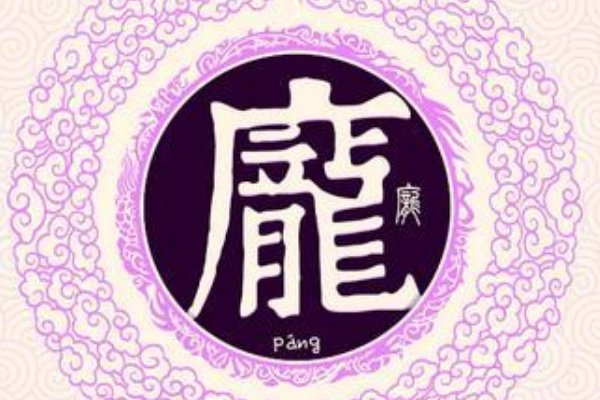 庞组词和拼音