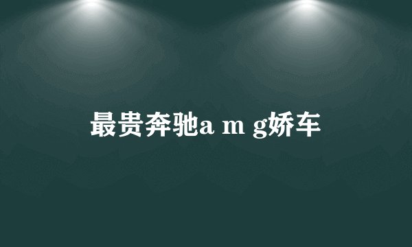 最贵奔驰a m g娇车