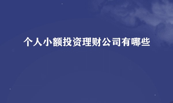 个人小额投资理财公司有哪些