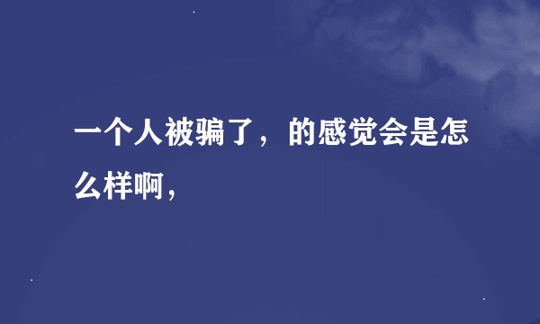 一个人被骗了，的感觉会是怎么样啊，