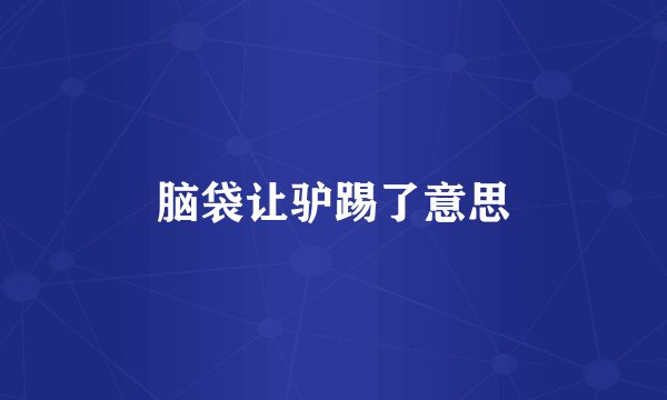 脑袋让驴踢了意思