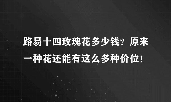 路易十四玫瑰花多少钱？原来一种花还能有这么多种价位！