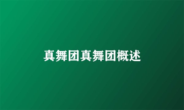 真舞团真舞团概述