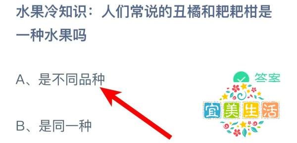 人们常说丑橘和耙耙柑是一种水果吗蚂蚁庄园答案
