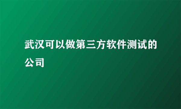 武汉可以做第三方软件测试的公司
