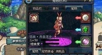 dnf宠物技能怎么放?dnf宠物技能怎么设置?