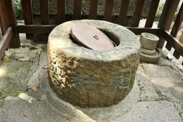枯泉打一字是什么