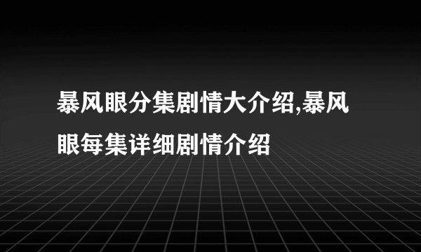暴风眼分集剧情大介绍,暴风眼每集详细剧情介绍
