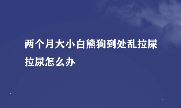 两个月大小白熊狗到处乱拉屎拉尿怎么办