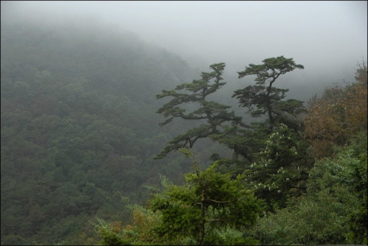 晦翁岩的传说故事
