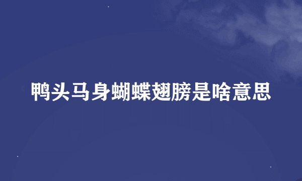 鸭头马身蝴蝶翅膀是啥意思