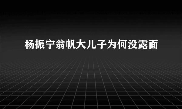 杨振宁翁帆大儿子为何没露面