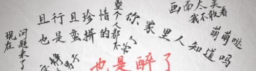 sx网络用语是什么意思